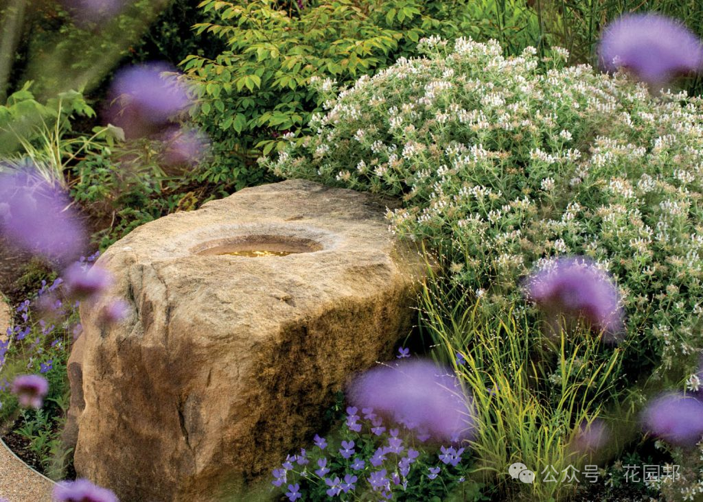 花園打造手冊：從設(shè)計到落地的完整指南
